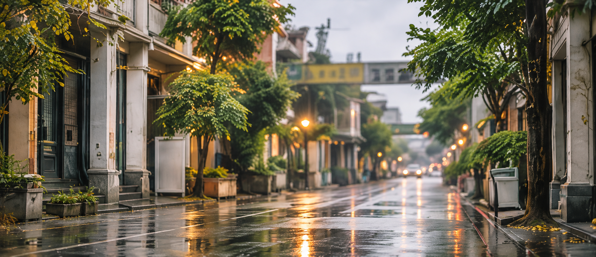 雨後的街道
